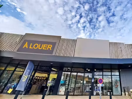 location commerce chasseneuil du poitou 86360 239m²