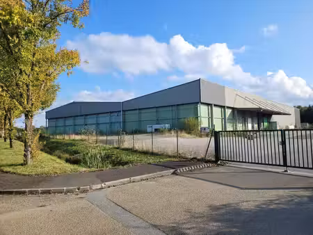 vente entrepôt la chapelle d aligne 72300 4800m²