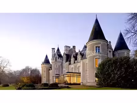 propriété à vendre tours 60 pièce(s) 2000m2 4 100 000€