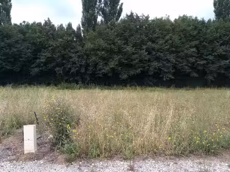 magnifique terrain constructible