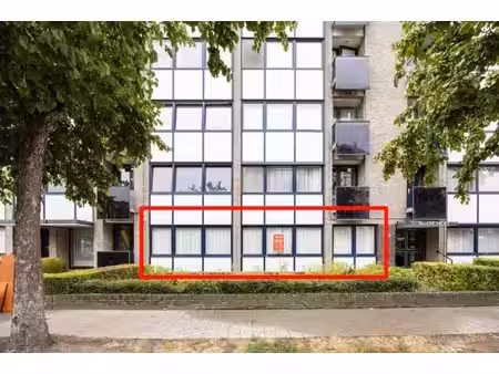 spacieux appartement au rdc à borgerhout