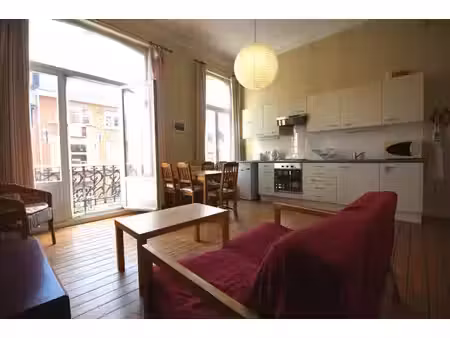 lumineux appart 1 ch avec terrasse dans le quartier européen