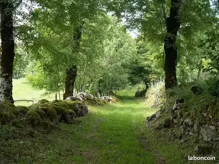 terrain agricole