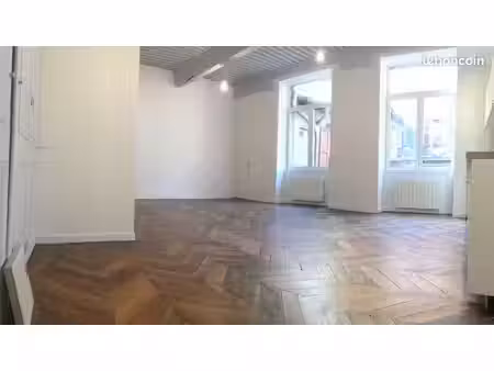 t2 tbe 60m² grenoble hypercentre - tram a & b & d