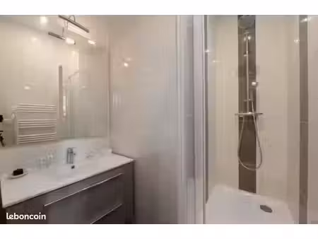 exceptionnel appartement t2 meublé au coeur de lyon