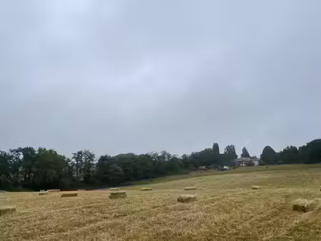 terrain agricole à louer pour pâturage