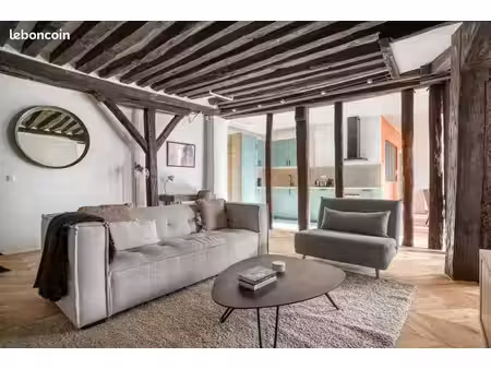 appartement t3 de standing paris 3 en duplex