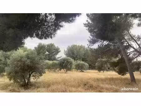 terrain à bâtir de 651 m² à saint-chamas (13)
