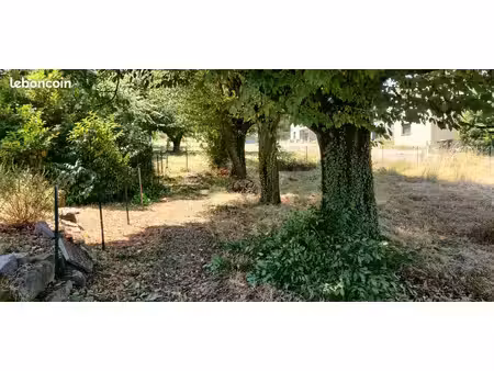 terrain constructible
