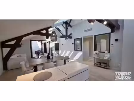 loft/atelier/surface 5 pièces 113 m²