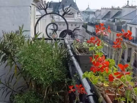 appartement 3 pièces - paris 9