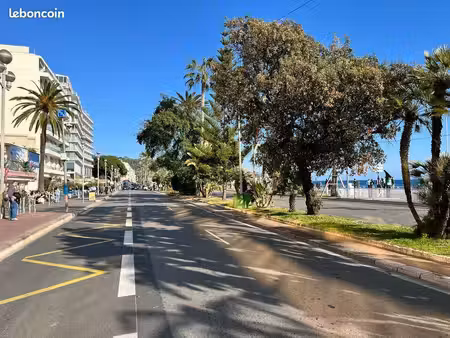 local commercial 500 m² nice