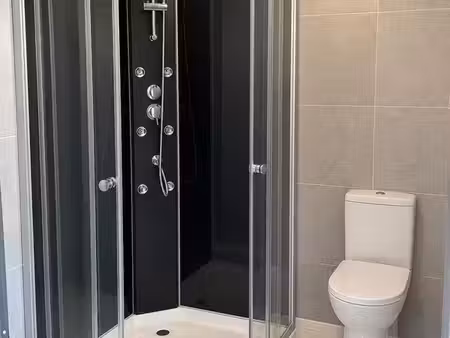 appartement t2 entièrement rénové avec cave – centre ville forbach