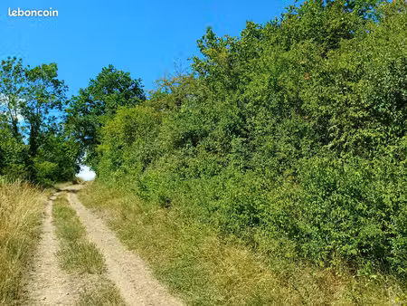 terrain de loisirs - belle surface avec belle vue dégagée