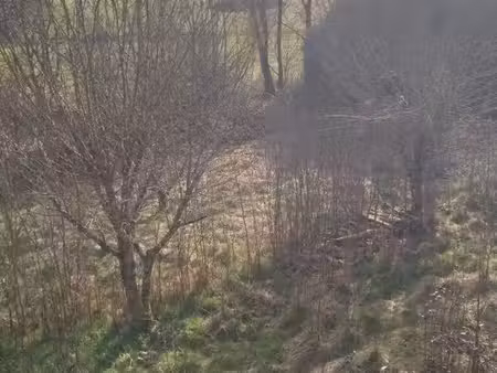 verger proche riviere