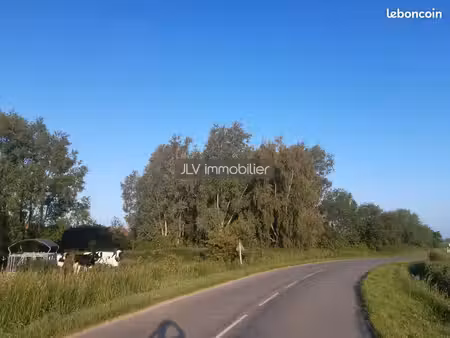 terrain 4 288 m² bambecque