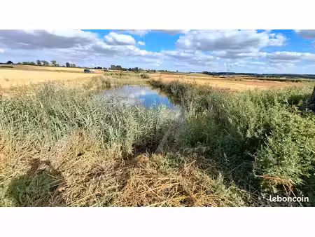 terrain de loisir avec etang