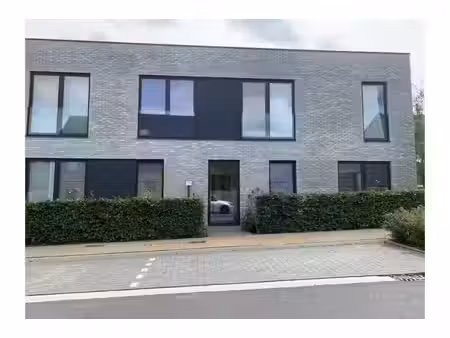 appartement à louer à sint-corijnsweg 13 zellik (rbw81015)