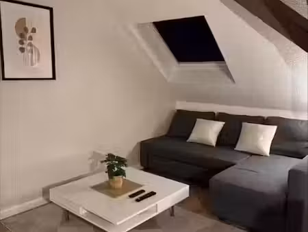 location meublée duplex 2 pièces 76 m² à mulhouse (68100)  720 €