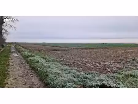 terrain 552 m² roucourt