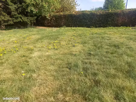 terrain viabilisé - 601m² - nieppe centre