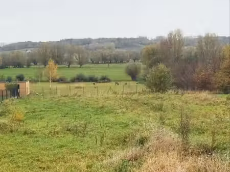 terrain constructible