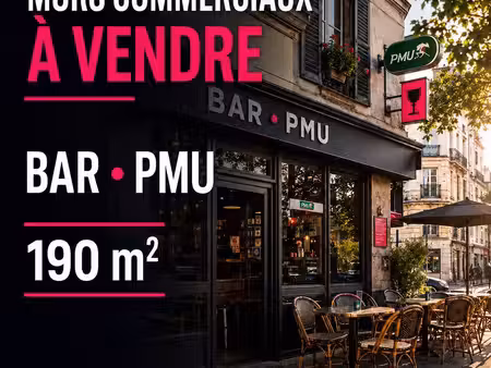 bar  murs commerciaux  pmu 190 m² tarbes
