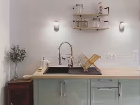 besse et saint anastaise - immeuble avec commerce loué + airbnb 3 étoiles