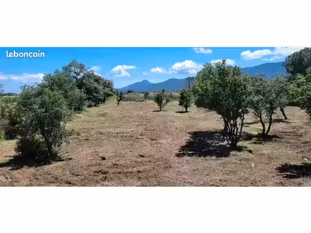 argeles s/mer terrain agricole 3240 m2