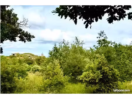 terrain 1 000 m² montesquieu des alberes