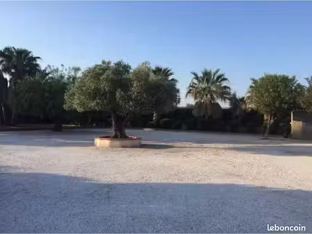 terrain constructible