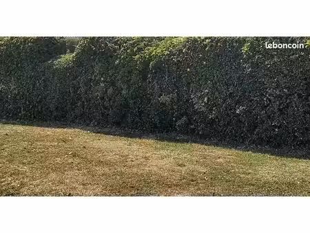 terrain 910 m² la chapelle de guinchay