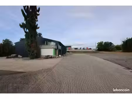 local pro 470m2 + 4600 m2 terrain - didenheim