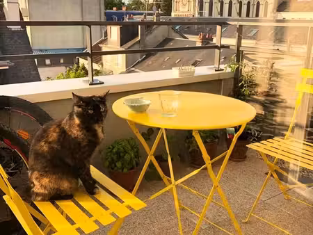location appartement avec vue au 4ème et dernier étage