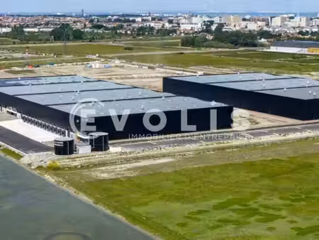 location entrepôt calais 62100 6245m² à 24980m²
