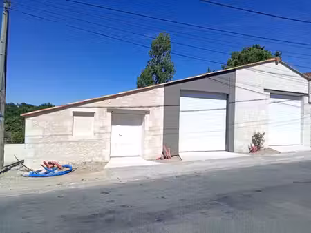 vente local d’activités saintes 17100 162m²