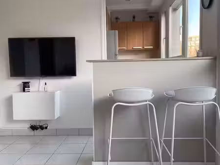 appartement 1 pièce 29 m²