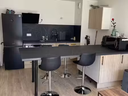 appartement 3 pièces 60m2 en rez de jardin - à vendre