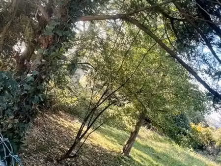terrain constructible 300m