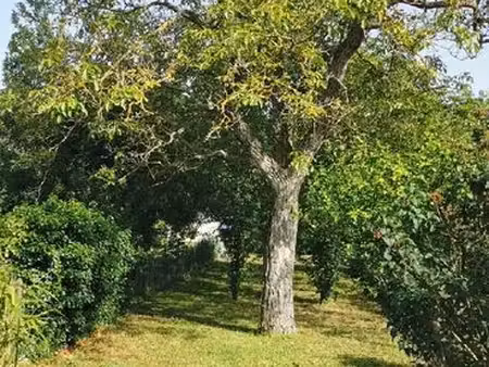 maison 29m2