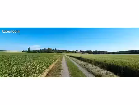 terrain 631 m² chevreuse