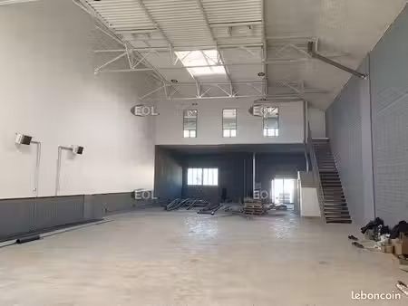 local d'activité 313 m²