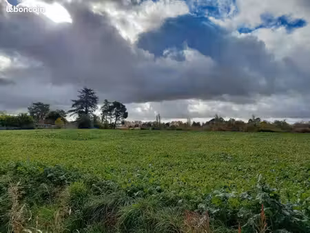 terrain 557 m² gaillac