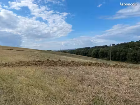 terrain 1 300 m² montfa