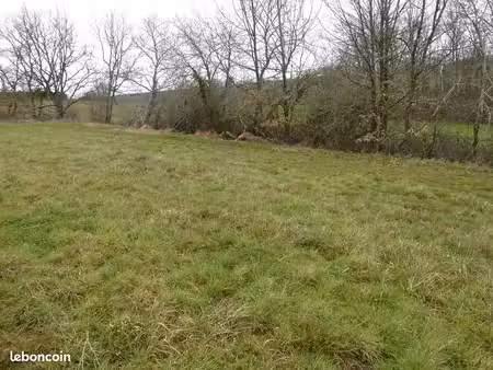 terrain de loisir 1.2 hectare