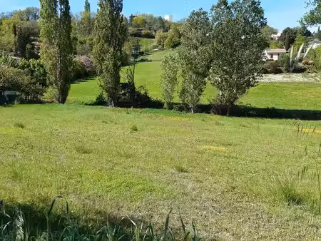 terrain constructible