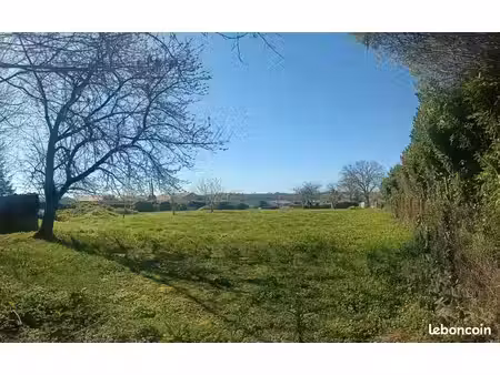 terrain constructible