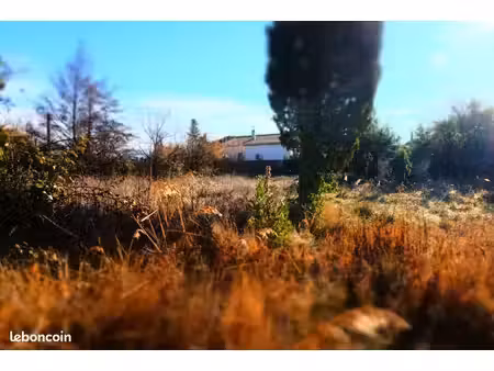 terrain constructible