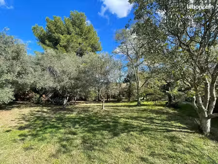 terrain 600 m² carpentras