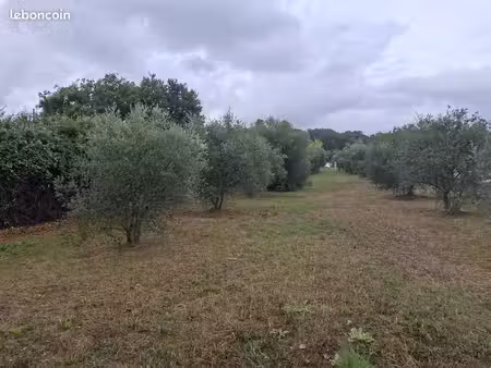 terrain à bâtir de 500 m² à la motte-d'aigues (84)